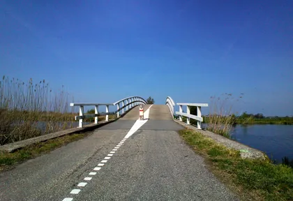 Routefoto van Alblasserdam, Kinderdijk en elf molens