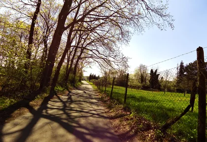 Streckenfoto bei Kilometer 12