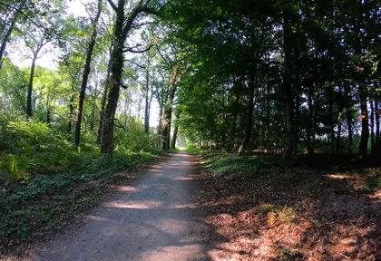 Streckenfoto bei Kilometer 27