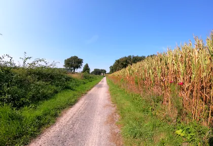 Streckenfoto bei Kilometer 26,2