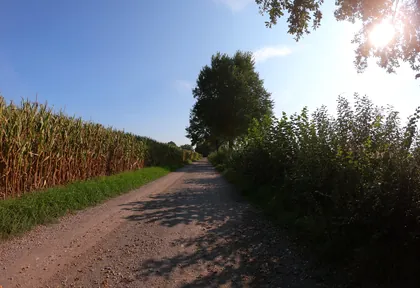 Streckenfoto bei Kilometer 15,7