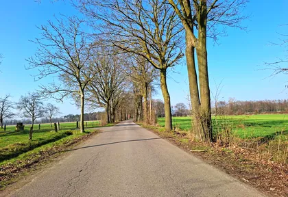 Streckenfoto bei Kilometer 7,8