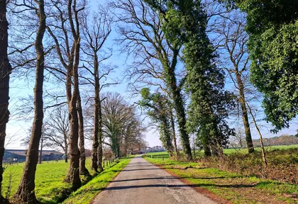 Streckenfoto bei Kilometer 3,6
