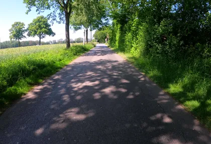 Streckenfoto bei Kilometer 6,6