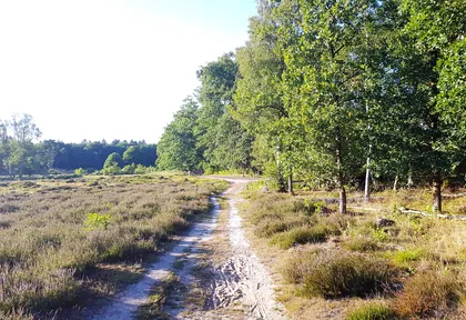Routefoto bij kilometer 18,4