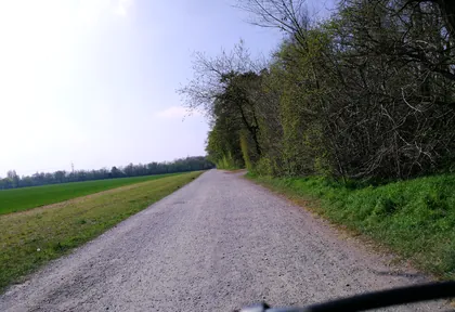 Streckenfoto bei Kilometer 1,4