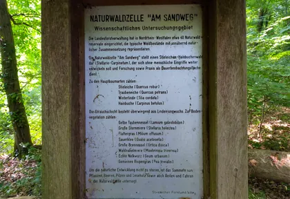 Streckenfoto bei Kilometer 21,1