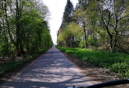 Streckenfoto bei Kilometer 1,8