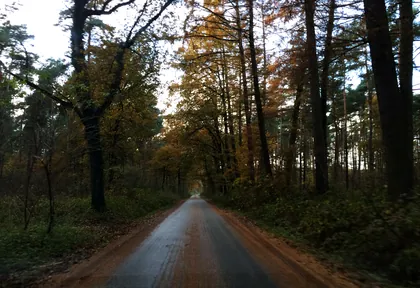 Streckenfoto bei Kilometer 26,2