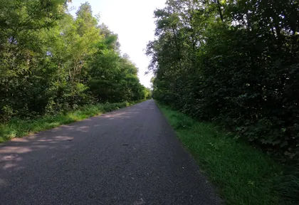 Streckenfoto bei Kilometer 3,8