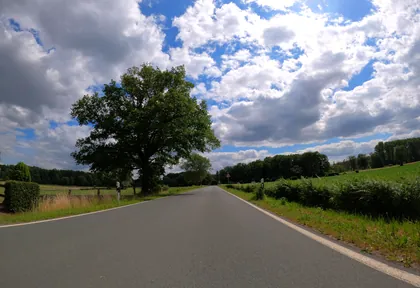 Streckenfoto der Route Drensteinfurt, Werse und Allee