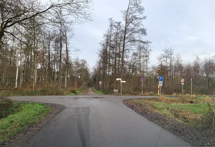 Streckenfoto bei Kilometer 11