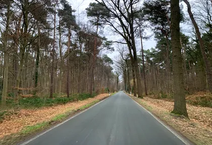 Streckenfoto bei Kilometer 36,6
