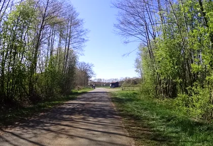 Streckenfoto bei Kilometer 42,6