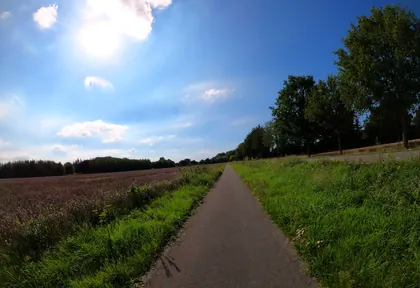 Streckenfoto bei Kilometer 31