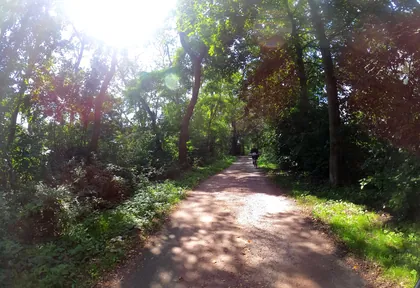 Streckenfoto bei Kilometer 5