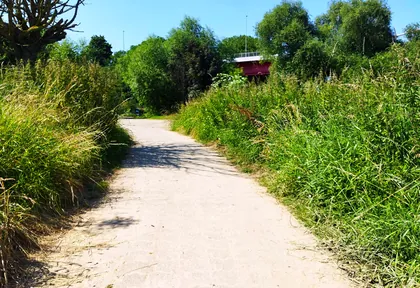 Streckenfoto der Route Duisburg, Rhein und Orsoy