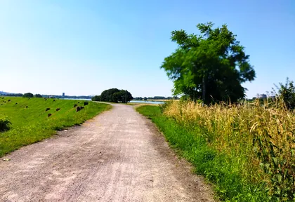 Streckenfoto bei Kilometer 16,4