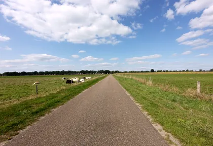 Routefoto bij kilometer 1,4