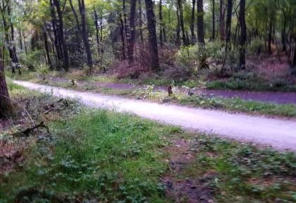 Routefoto bij kilometer 30,8