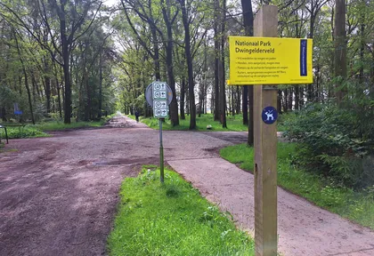 Routefoto van Dwingeloo, Dwingelderveld en Laan