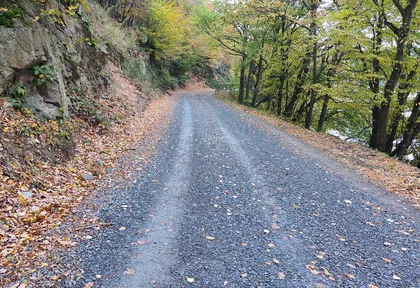 Streckenfoto der Route Einruhr, Eifel-Wälder und fünf Brücken