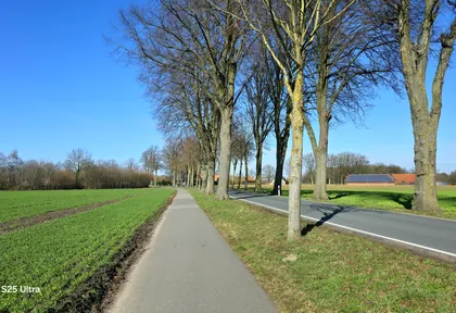 Streckenfoto der Route Emsdetten, Brücken und Allee