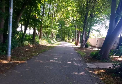 Streckenfoto bei Kilometer 5,8