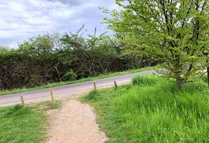 Streckenfoto bei Kilometer 19