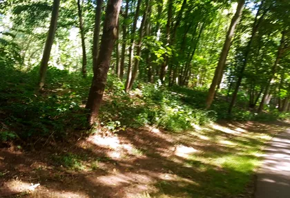 Streckenfoto bei Kilometer 5,6