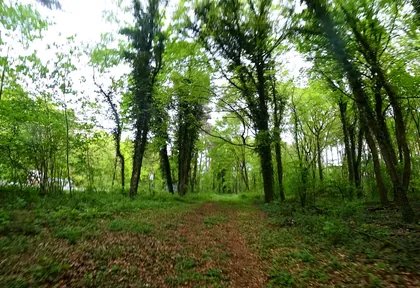 Streckenfoto bei Kilometer 3,4