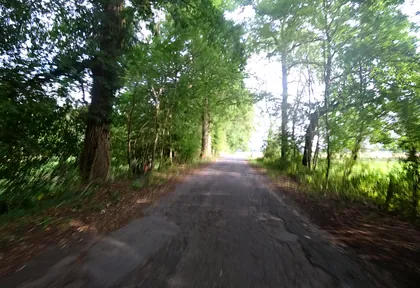 Streckenfoto bei Kilometer 26,2