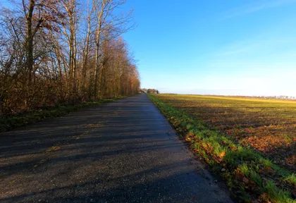 Streckenfoto bei Kilometer 13,4