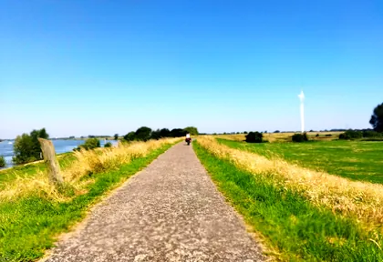Streckenfoto bei Kilometer 13,6