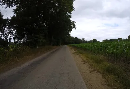 Route photo at kilometre 3.6