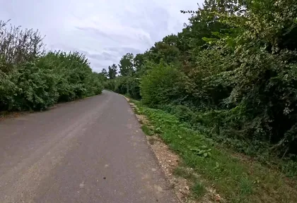 Streckenfoto bei Kilometer 8