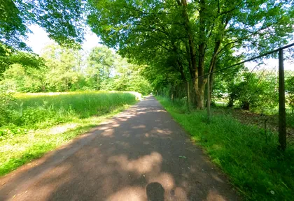 Streckenfoto bei Kilometer 13,5