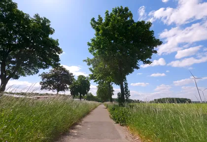 Streckenfoto bei Kilometer 3,8