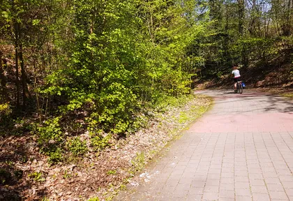 Streckenfoto bei Kilometer 15,5