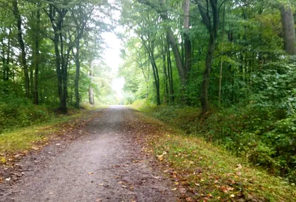 Streckenfoto bei Kilometer 5