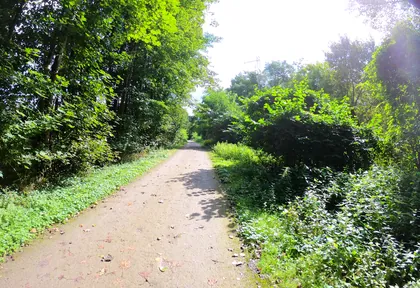 Streckenfoto bei Kilometer 3,8