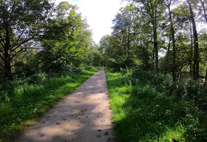 Streckenfoto bei Kilometer 3,2