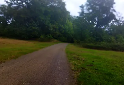 Streckenfoto bei Kilometer 7,2