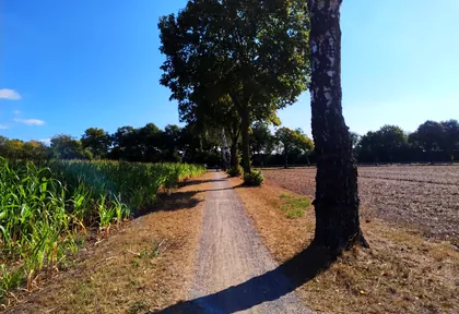 Streckenfoto bei Kilometer 30,4