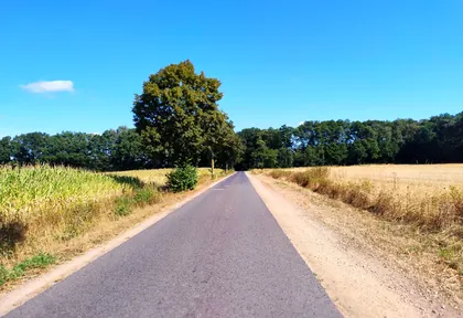 Streckenfoto bei Kilometer 23,4
