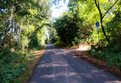 Streckenfoto bei Kilometer 31,4