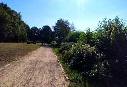 Streckenfoto bei Kilometer 31
