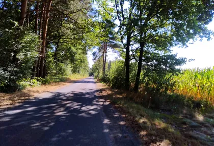 Streckenfoto bei Kilometer 23