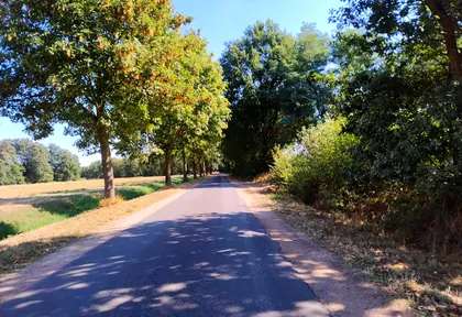 Streckenfoto bei Kilometer 24