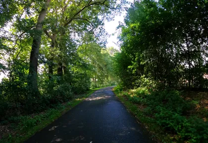 Streckenfoto bei Kilometer 34,6